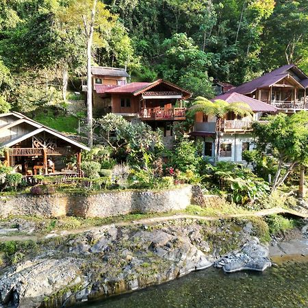 Kupu Kupu Garden Guest House & Cafe Bukit Lawang Zewnętrze zdjęcie