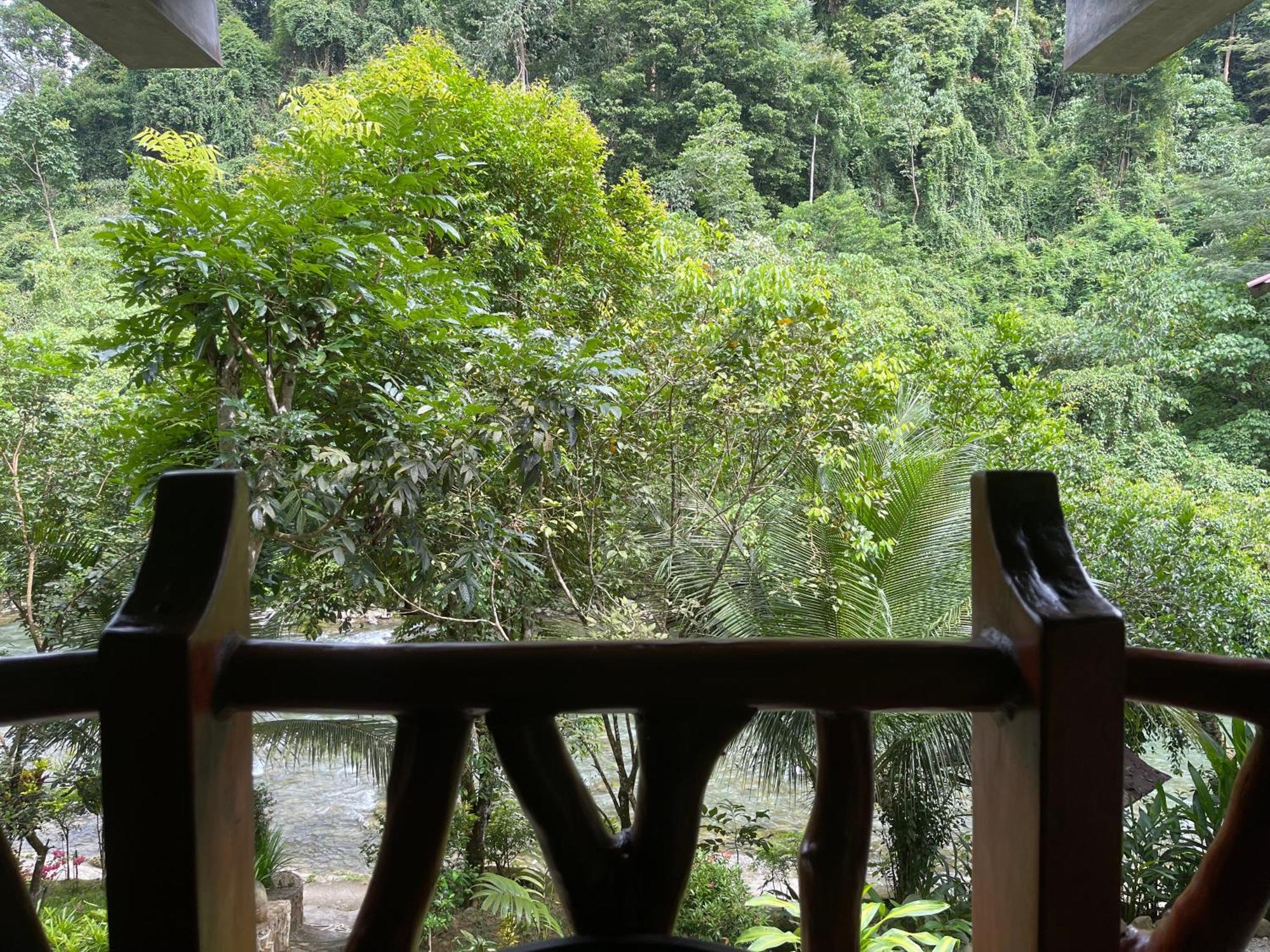 Kupu Kupu Garden Guest House & Cafe Bukit Lawang Zewnętrze zdjęcie