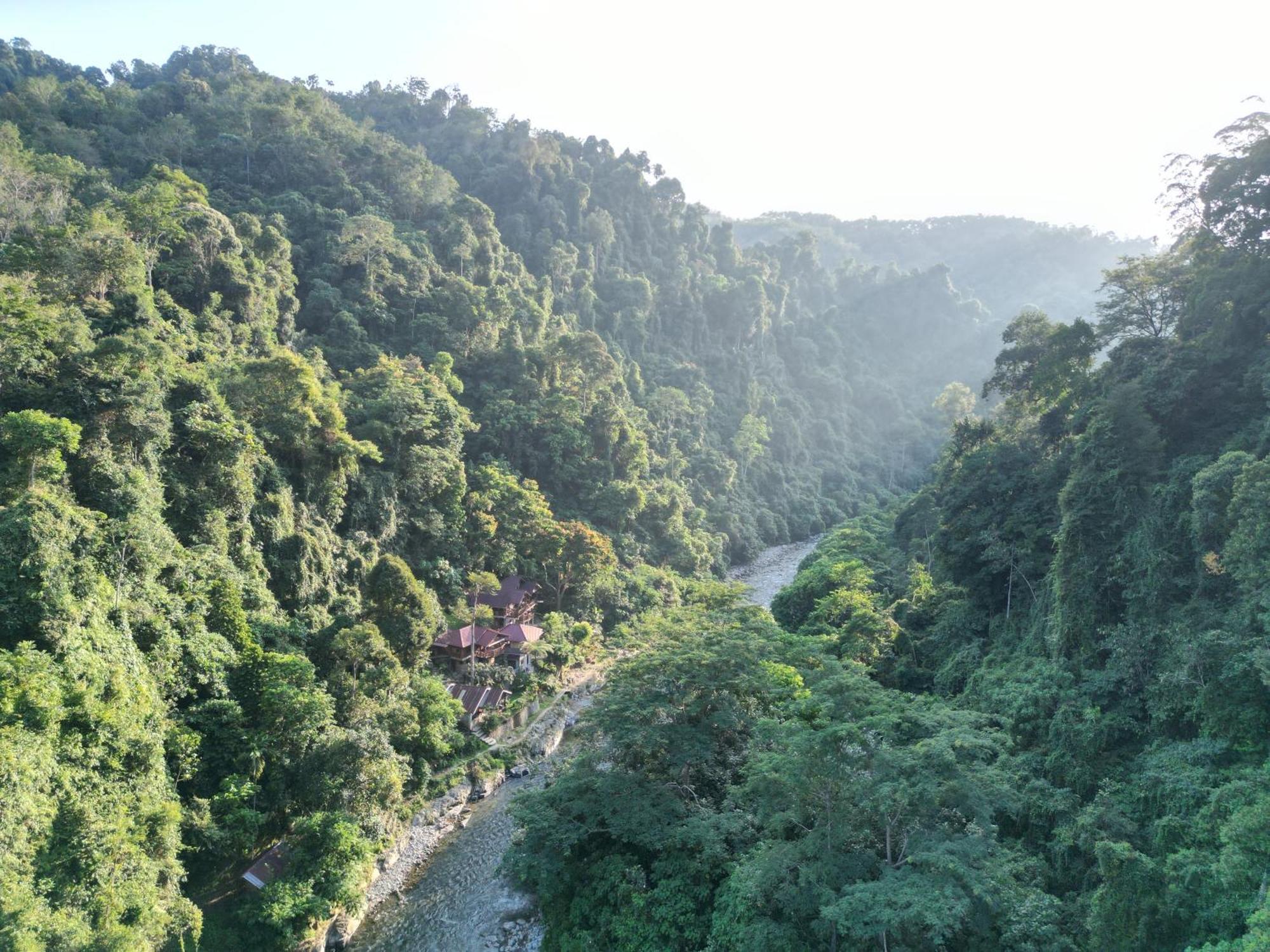 Kupu Kupu Garden Guest House & Cafe Bukit Lawang Zewnętrze zdjęcie
