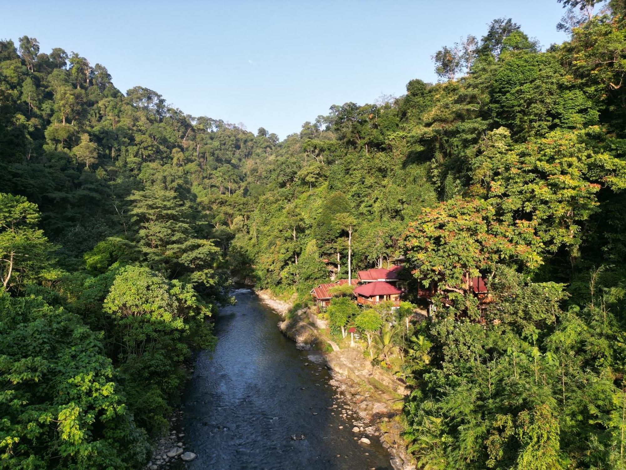 Kupu Kupu Garden Guest House & Cafe Bukit Lawang Zewnętrze zdjęcie