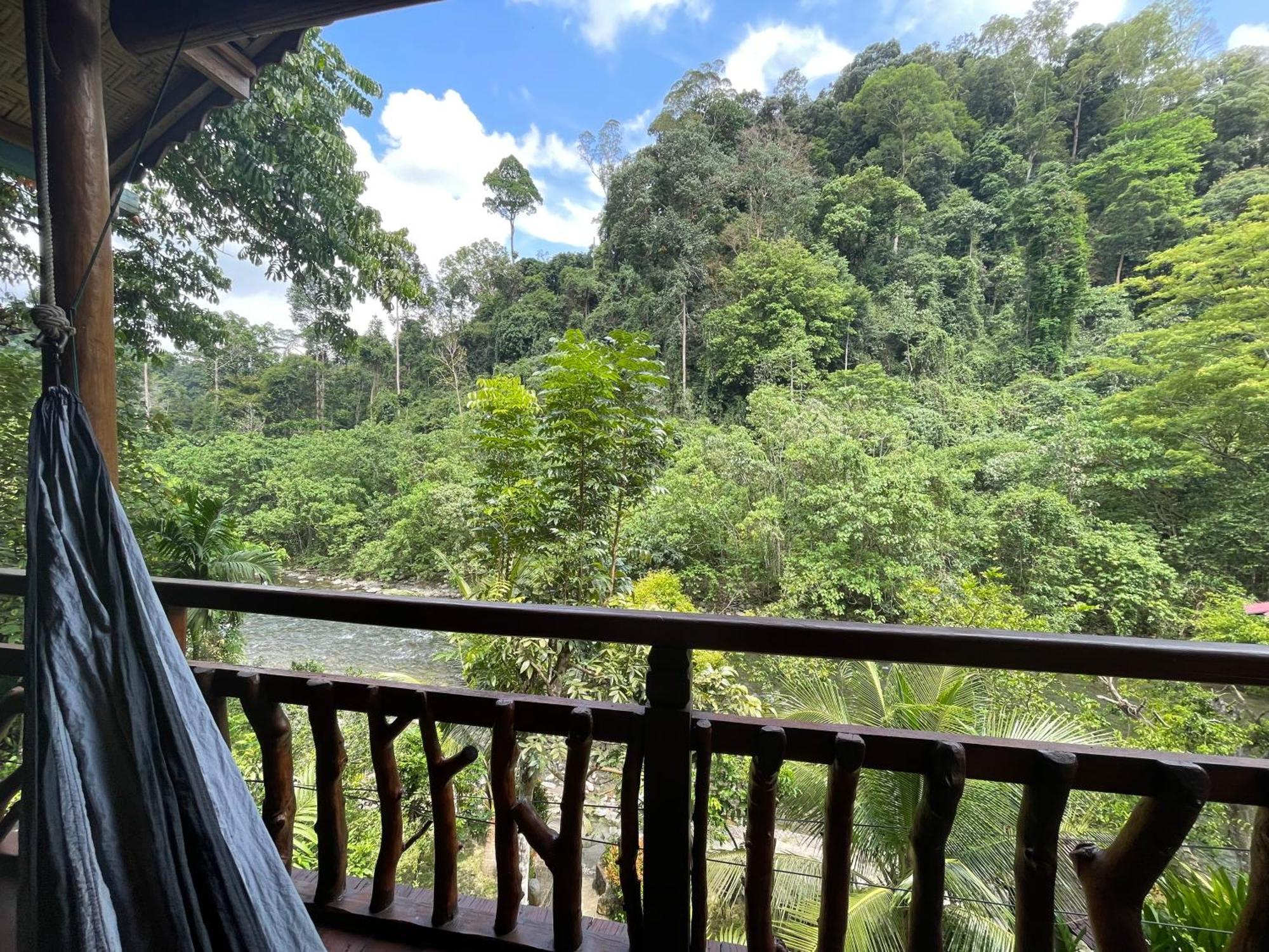 Kupu Kupu Garden Guest House & Cafe Bukit Lawang Zewnętrze zdjęcie