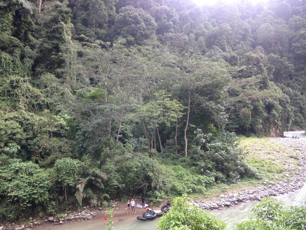 Kupu Kupu Garden Guest House & Cafe Bukit Lawang Zewnętrze zdjęcie