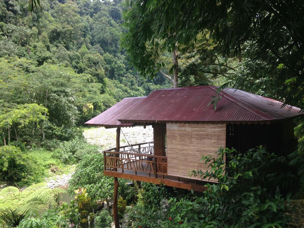 Kupu Kupu Garden Guest House & Cafe Bukit Lawang Zewnętrze zdjęcie