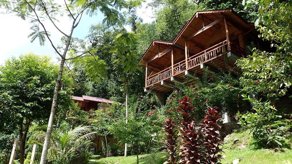 Kupu Kupu Garden Guest House & Cafe Bukit Lawang Zewnętrze zdjęcie