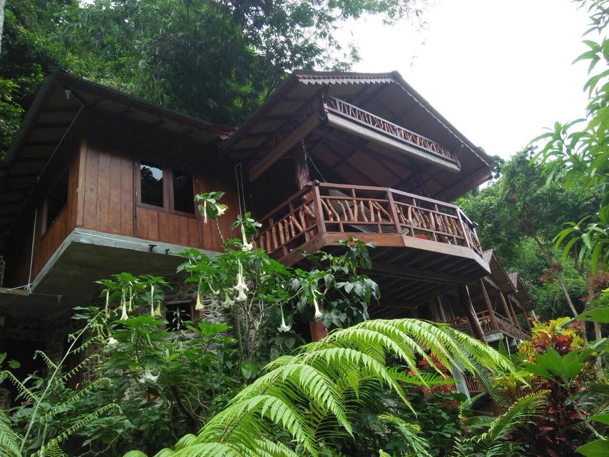 Kupu Kupu Garden Guest House & Cafe Bukit Lawang Zewnętrze zdjęcie