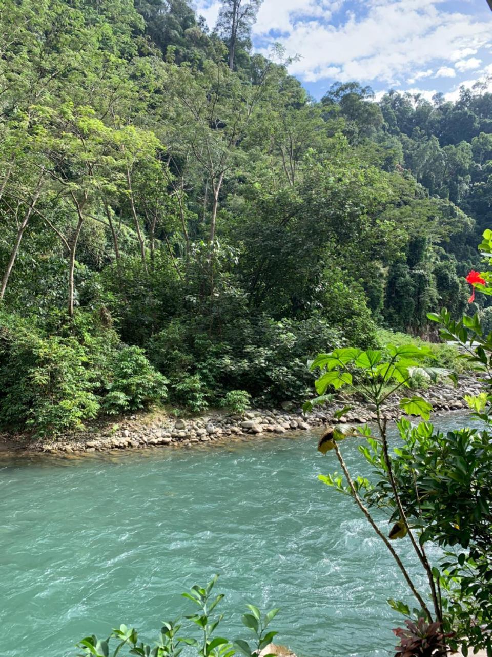 Kupu Kupu Garden Guest House & Cafe Bukit Lawang Zewnętrze zdjęcie
