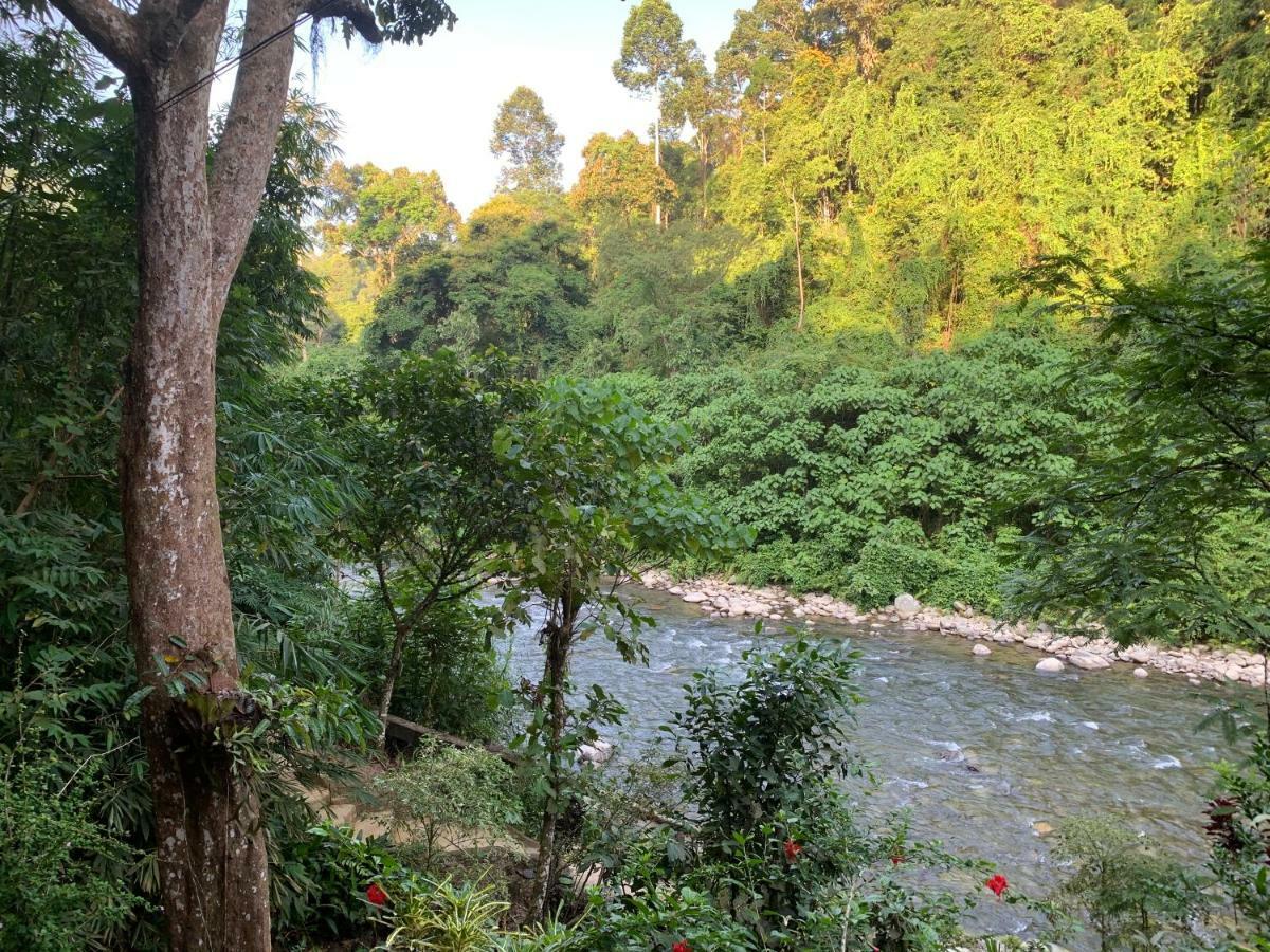 Kupu Kupu Garden Guest House & Cafe Bukit Lawang Zewnętrze zdjęcie