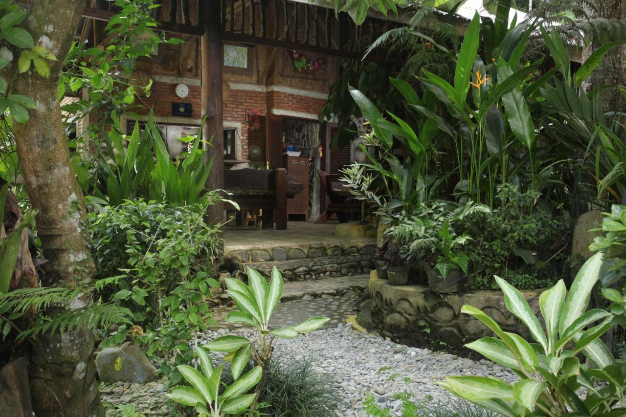 Kupu Kupu Garden Guest House & Cafe Bukit Lawang Zewnętrze zdjęcie
